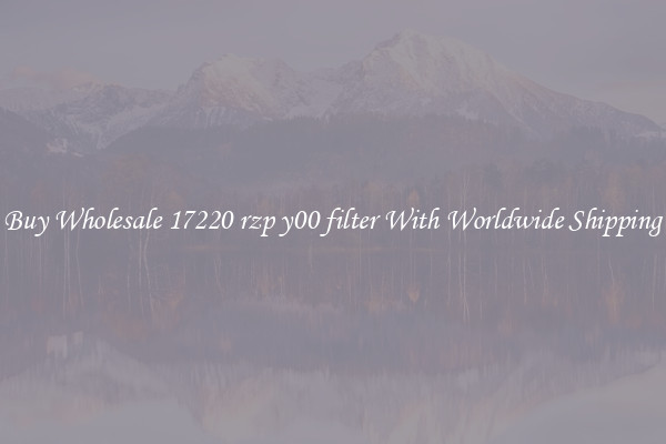  Buy Wholesale 17220 rzp y00 filter With Worldwide Shipping 