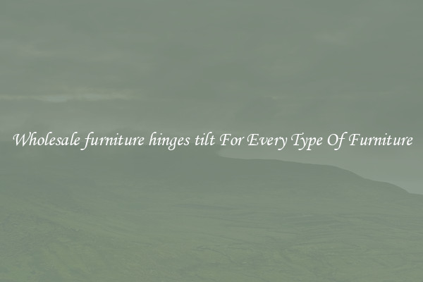 Wholesale furniture hinges tilt For Every Type Of Furniture