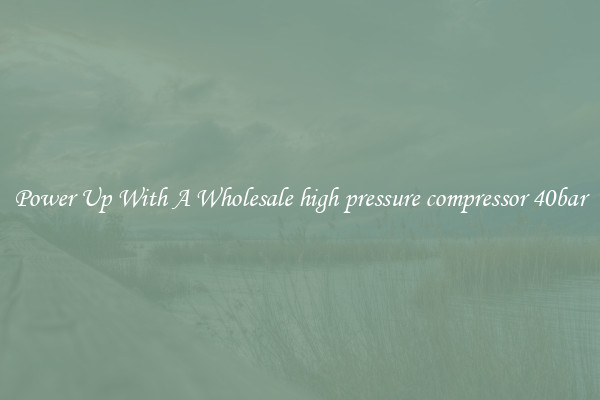 Power Up With A Wholesale high pressure compressor 40bar