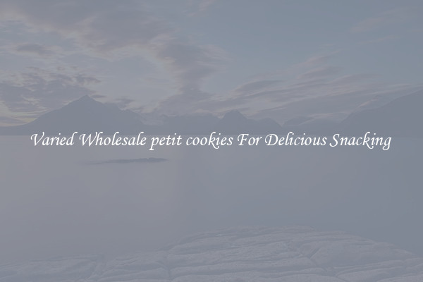 Varied Wholesale petit cookies For Delicious Snacking 