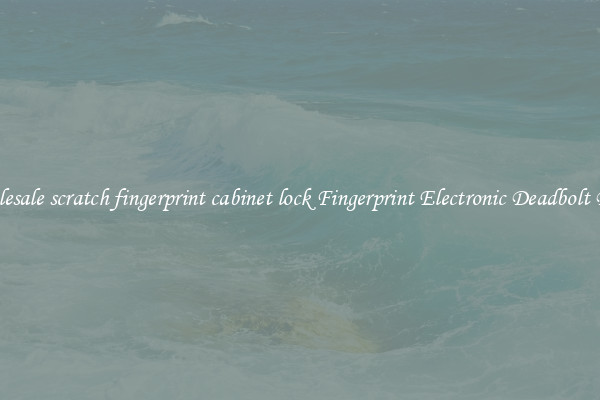 Wholesale scratch fingerprint cabinet lock Fingerprint Electronic Deadbolt Door 