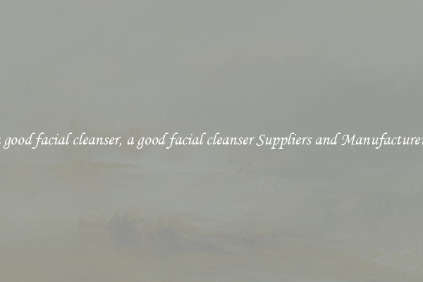 a good facial cleanser, a good facial cleanser Suppliers and Manufacturers