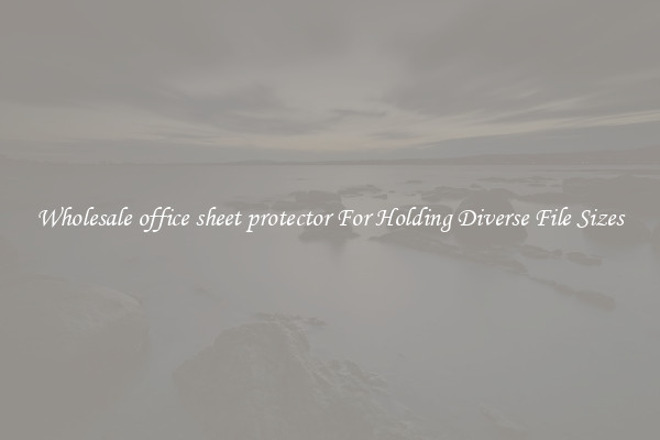 Wholesale office sheet protector For Holding Diverse File Sizes