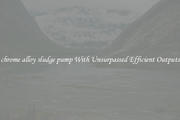 chrome alloy sludge pump With Unsurpassed Efficient Outputs