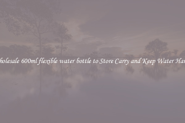 Wholesale 600ml flexible water bottle to Store Carry and Keep Water Handy