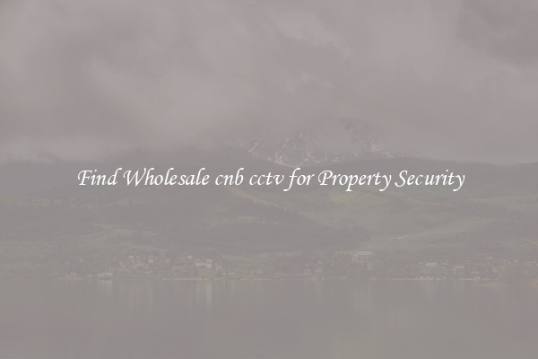 Find Wholesale cnb cctv for Property Security