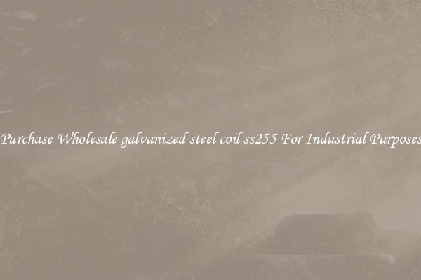 Purchase Wholesale galvanized steel coil ss255 For Industrial Purposes