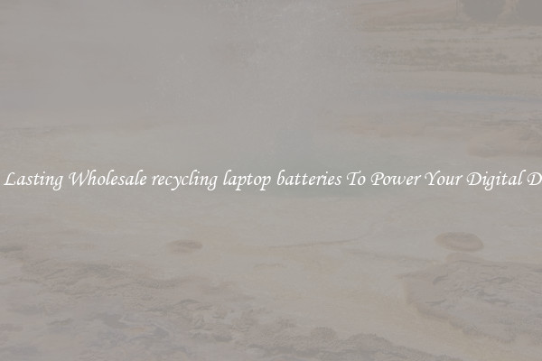 Long Lasting Wholesale recycling laptop batteries To Power Your Digital Devices