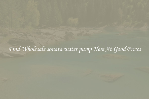 Find Wholesale sonata water pump Here At Good Prices