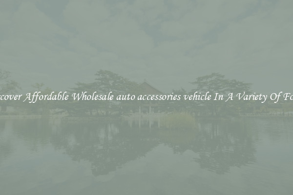 Discover Affordable Wholesale auto accessories vehicle In A Variety Of Forms