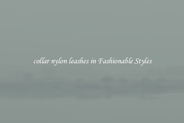 collar nylon leashes in Fashionable Styles