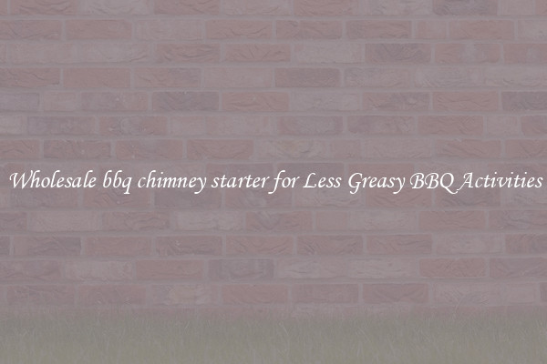 Wholesale bbq chimney starter for Less Greasy BBQ Activities