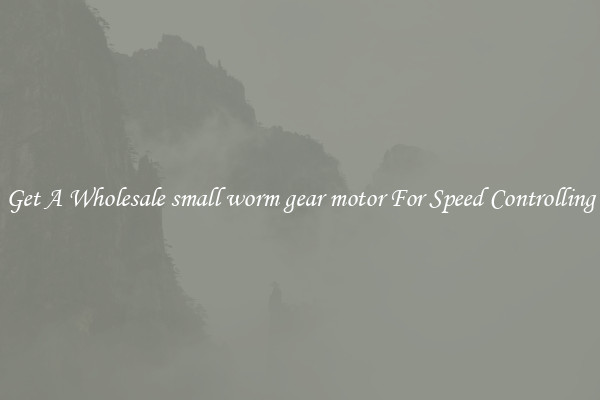 Get A Wholesale small worm gear motor For Speed Controlling