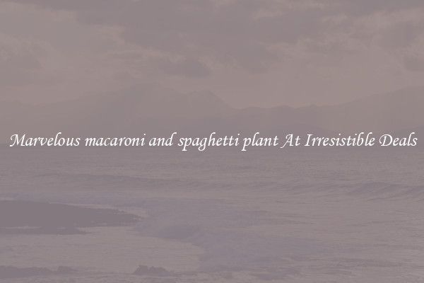 Marvelous macaroni and spaghetti plant At Irresistible Deals