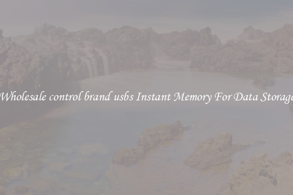 Wholesale control brand usbs Instant Memory For Data Storage