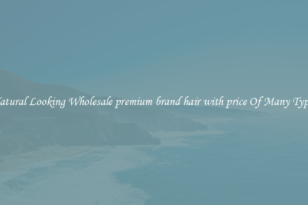 Natural Looking Wholesale premium brand hair with price Of Many Types