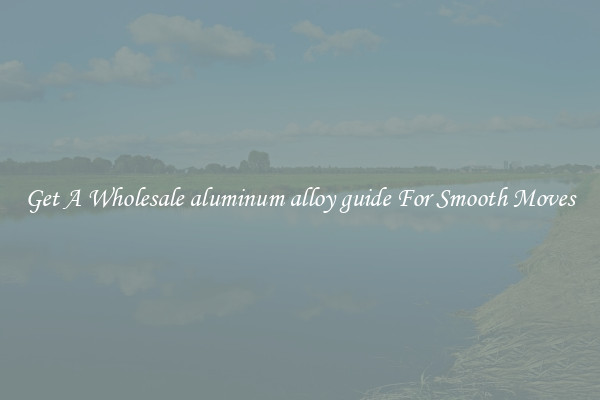 Get A Wholesale aluminum alloy guide For Smooth Moves