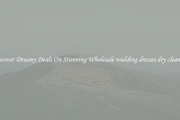 Discover Dreamy Deals On Stunning Wholesale wedding dresses dry cleaning