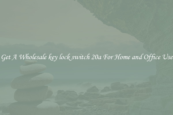 Get A Wholesale key lock switch 20a For Home and Office Use